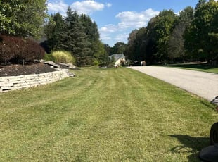 Aly M.'s lawn care services service result