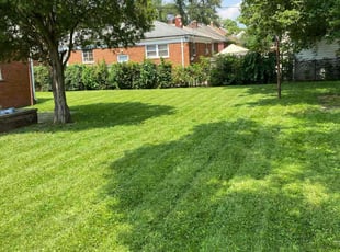 Starlene J.'s lawn care service result
