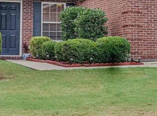 Athena O.'s lawn care service result