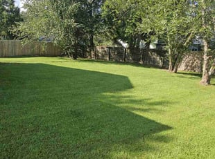 Kim T.'s grass maintenance service result