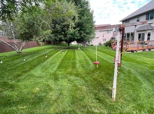 Garrett M.'s lawn maintenance service result