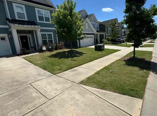 Erica F.'s turf maintenance service result
