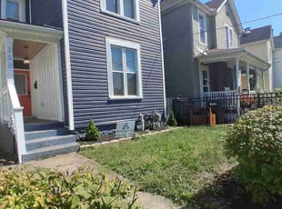 Chris A.'s lawn care services service result