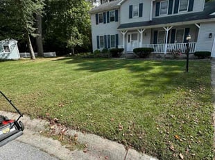 Emily B.'s turf care service result