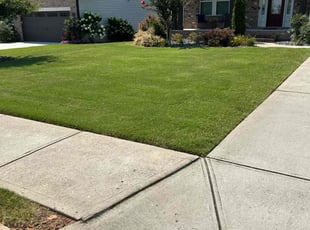 Roxanne Y.'s lawn maintenance service result