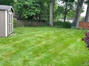 Jim C.'s lawn maintenance service result