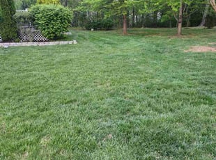Kevin D.'s lawn service service result