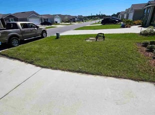 Naomi A.'s lawn service service result