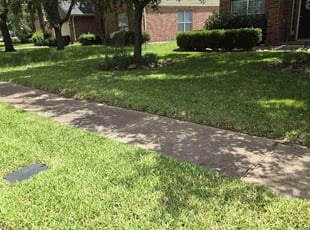 Armen B.'s turf care service result