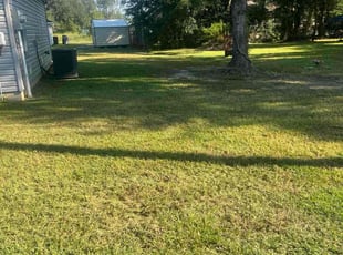 Jennifer C.'s grass maintenance service result