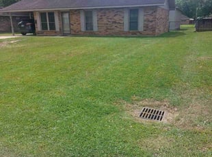 Korsica N.'s lawn service service result