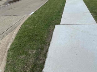 Luis O.'s grass maintenance service result