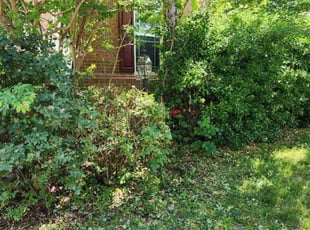 Chuck A.'s Bush Trimming service result
