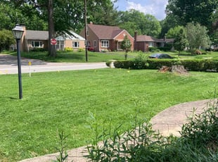 Deborah B.'s lawn care service result