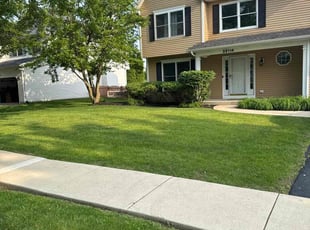 Jamie D.'s lawn care services service result