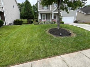 Jacqueline M.'s lawn maintenance service result