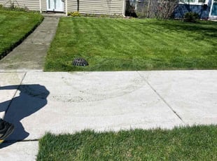 Titus A.'s lawn service service result