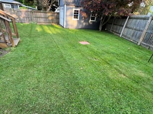 Joe M.'s lawn maintenance service result