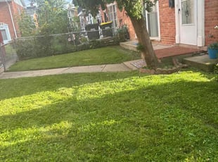 James G.'s lawn maintenance service result