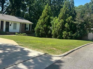 Kelly M.'s lawn care service result