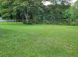 Jeff B.'s grass cutting service result