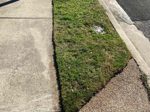 Kris S.'s grass maintenance service result