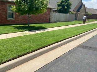 Dana M.'s lawn maintenance service result