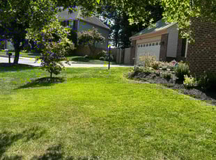 Adolf V.'s lawn care service result
