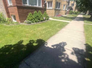 Wesley G.'s lawn service service result