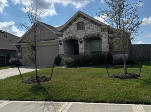 Sue B.'s lawn care service result