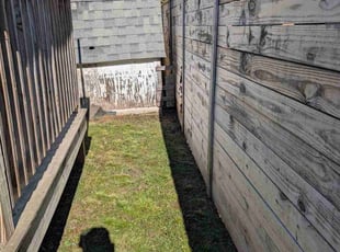 Angela H.'s grass cutting service result