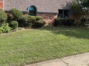 Rafael I.'s Bush Trimming service result