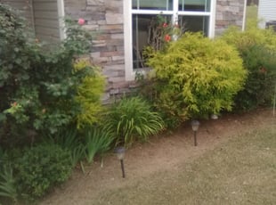 John A.'s Flower Bed Weeding service result