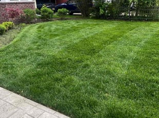 Adam A.'s turf care service result
