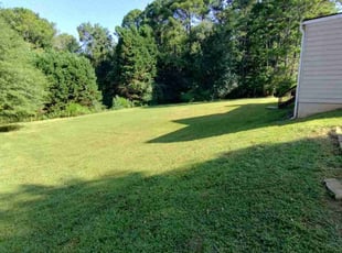 Jack B.'s lawn service service result