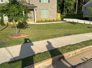 Eileen M.'s grass maintenance service result