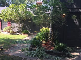 Ernesto F.'s Bush Trimming service result