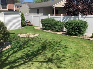 Tyiese W.'s turf maintenance service result