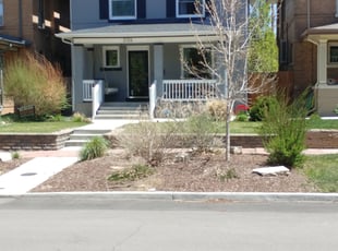 Maisha B.'s Bush Trimming service result