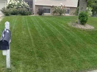 LaToya B.'s lawn maintenance service result