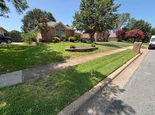 Lucas M.'s grass cutting service result