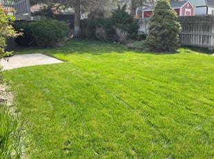 Teresa T.'s lawn care service result