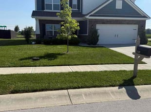 Paula C.'s lawn care service result