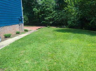 Jeffrey G.'s grass cutting service result
