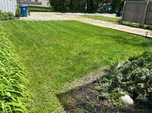 Michelle D.'s lawn care services service result