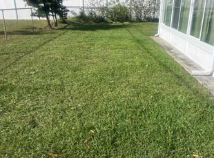 Alexa S.'s lawn care services service result