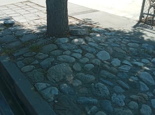 Stephanie F.'s Bush Trimming service result