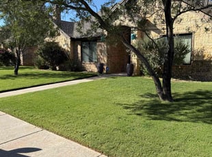 Sharon D.'s turf maintenance service result