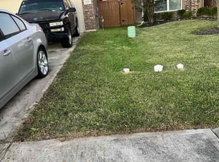 Marcia R.'s lawn service service result
