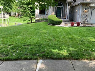 Ally S.'s grass maintenance service result